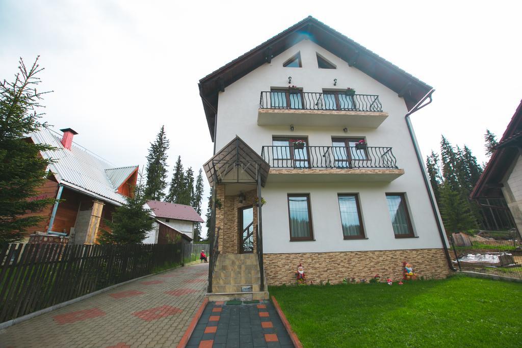 Pensiunea Viki Tău Bistra エクステリア 写真